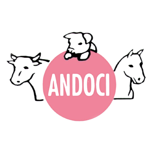 Brand Name : Brand Short Description Type Here.