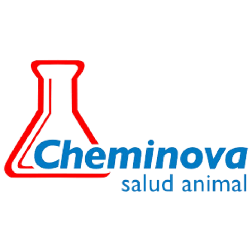 Brand Name : Brand Short Description Type Here.